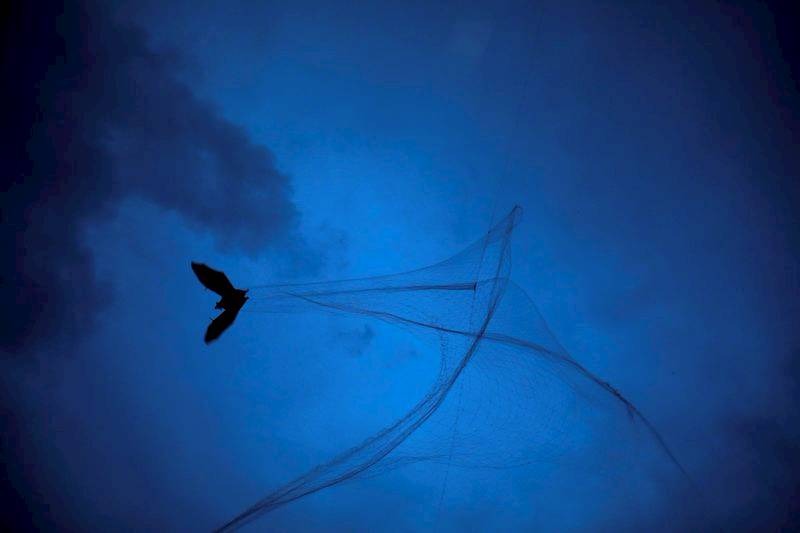 印度爆發立百病毒疫情　亞洲多國機場加強篩檢