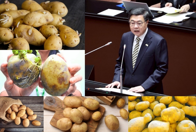 卓揆喊馬鈴薯「逐顆檢查」 他算時間傻眼：查完剛好發芽