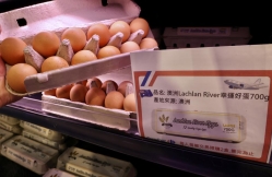 空運進口澳洲蛋 每顆最高補貼32元