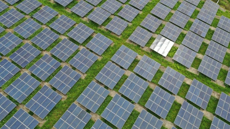 資誠：去年綠電直供只17億度 94%靠台電躉購買回