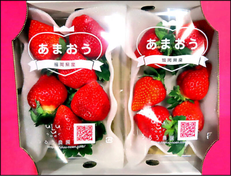 食藥署預告放寬多項農藥標準 「草莓」可用禁用農藥