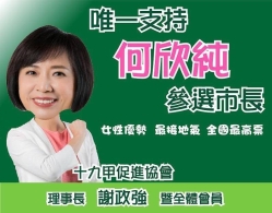 被曝與林秉樞吃飯 何欣純喊衰：到場才知只2人 且是為了王定宇