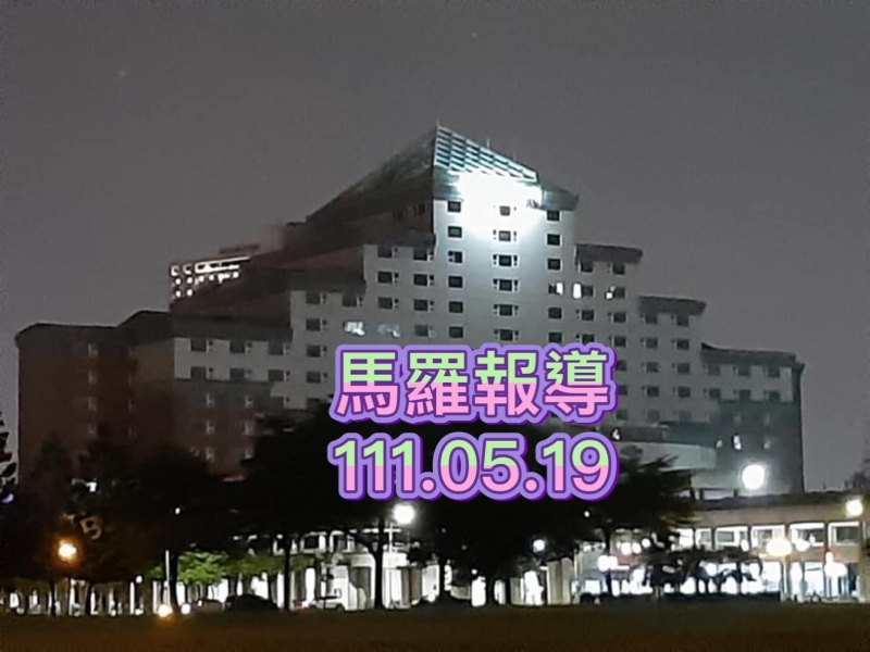 台南市行道樹有倒伏風險！ 台南市審計處糾正台南市政府！