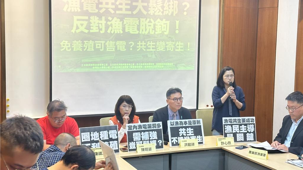 漁電共生變「漁電脫鉤」？民團批：讓光電業者予取予求