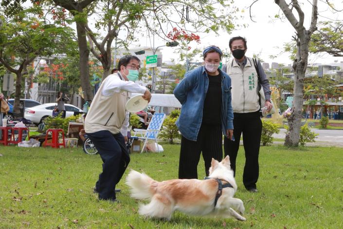 推動寵物友善城市 黃偉哲現身飛盤狗夏季賽與市民互動