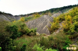 保護龍崎自然地景 環團呼籲南市府設「暫定自然地景」