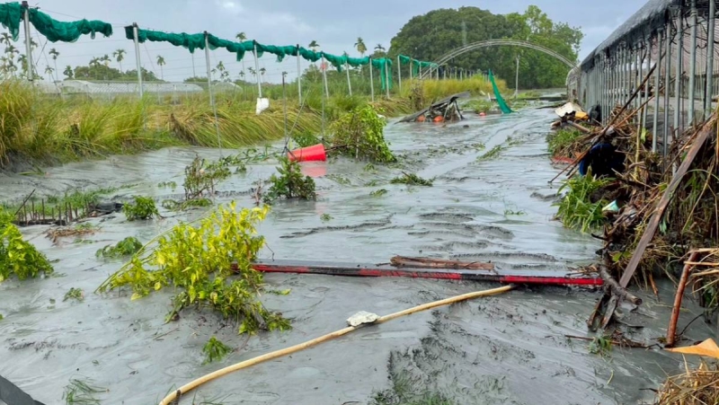 花蓮堰塞湖溢流究責　卓伯源：國家級警報失靈、堰塞湖產生後綠還在搞大罷免