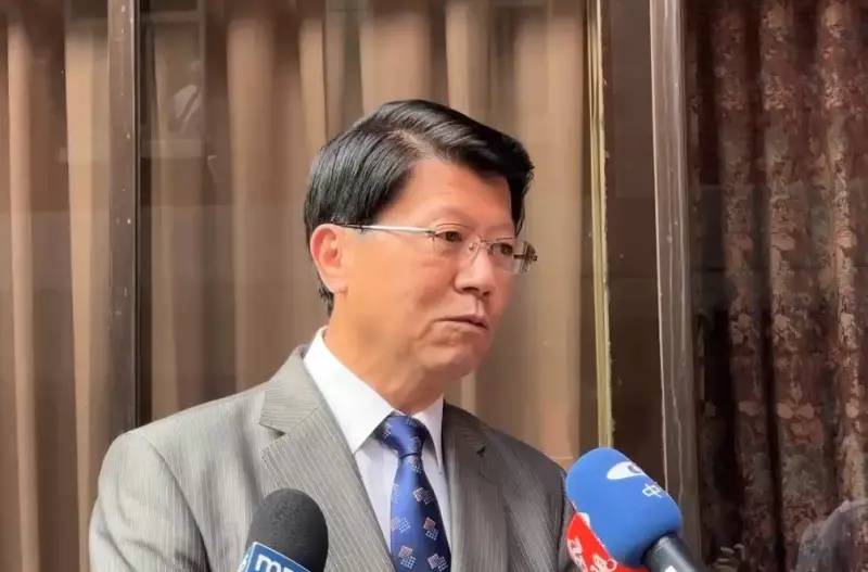 綠營台南第二選項是謝龍介？他斷言最差後果